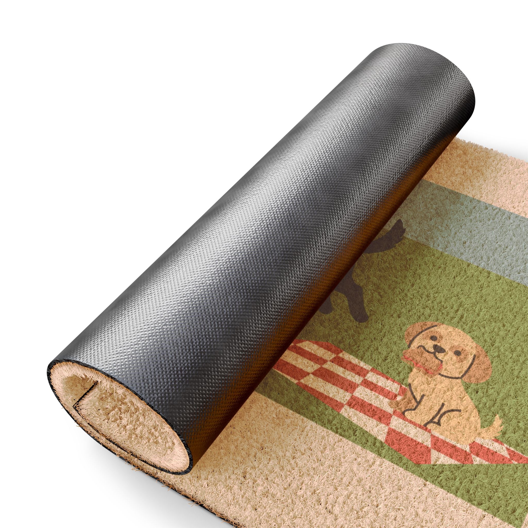 Leaping Lab, Watching Shih Tzu: Bold Park Fun